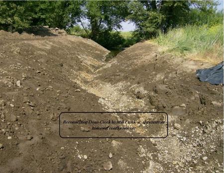 Doan Creek Stream Restoration