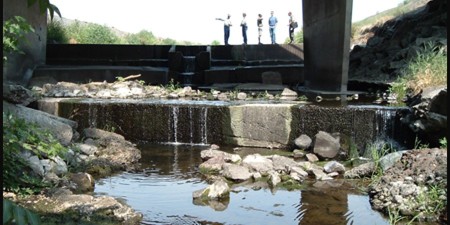 Gose Street Fish Passage Project