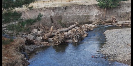 McCaw Instream Fish Habitat Restoration Phase A