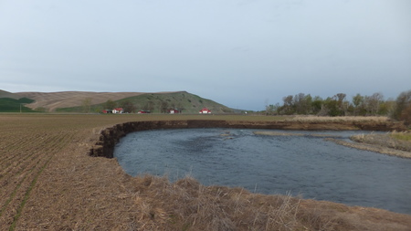 McCaw Reach Fish Restoration Phase B